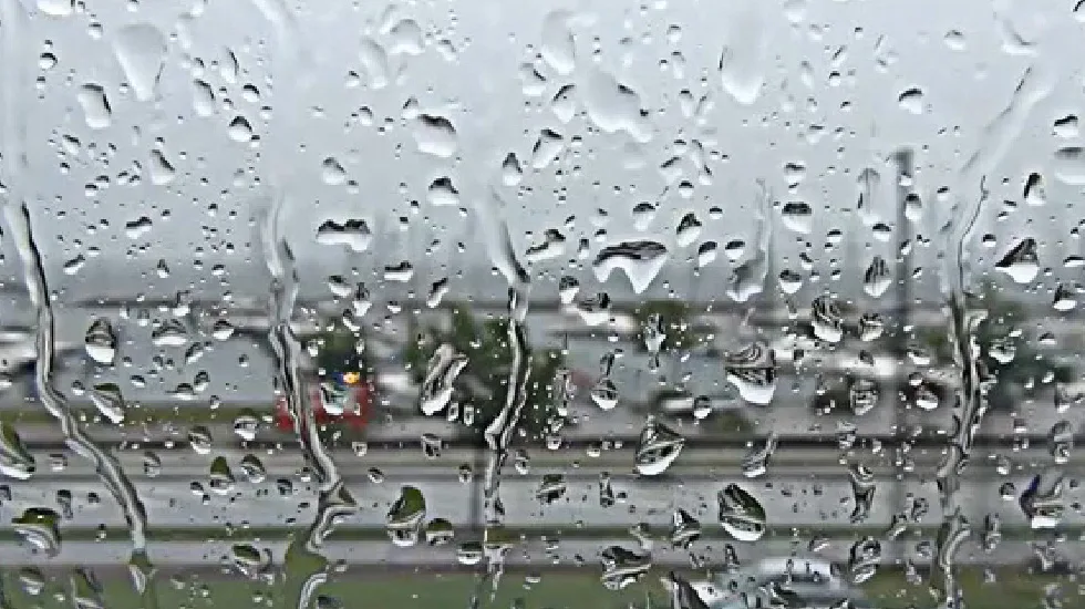 Video Post Format - 足彩网